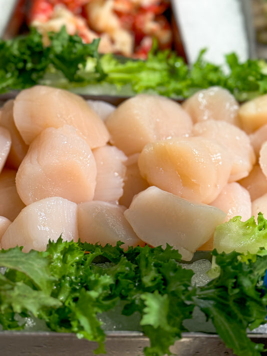 Scallops By the Half-Pound