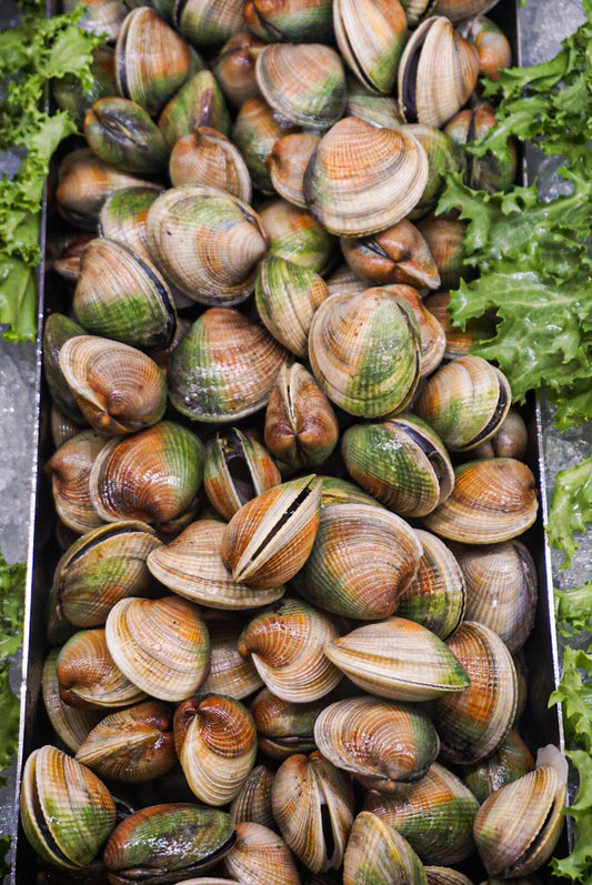 New Zealand Cockles [Pre-Order]