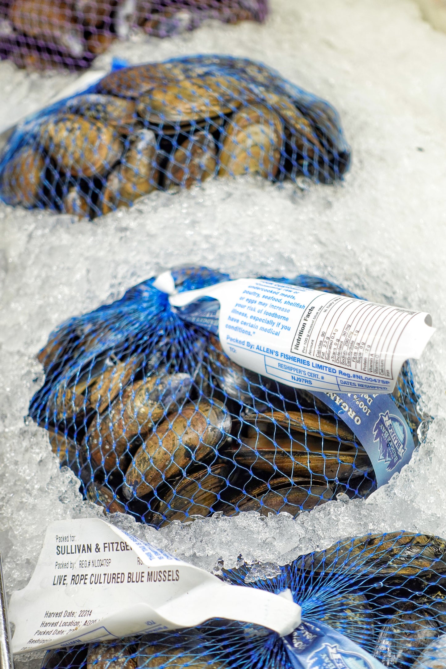Mussels [Pre-Order]